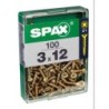 TORNILLO SPAX C/PL POZI BRICO. 3.0X12 C/100 UDS
