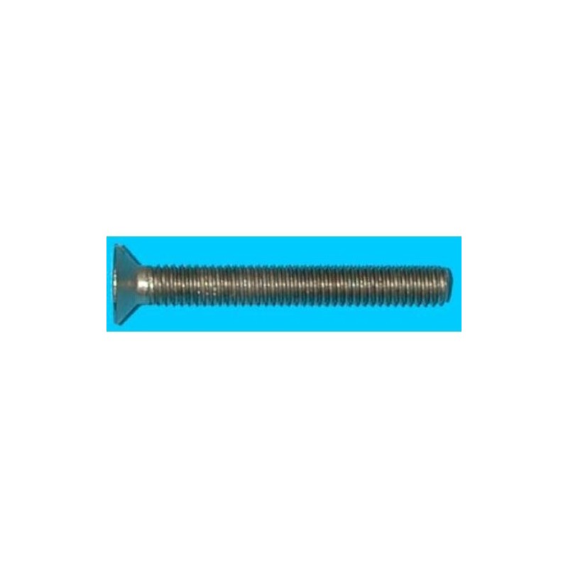 TORNILLO C/PL. METRICA 5X20 ZN. BLISTER