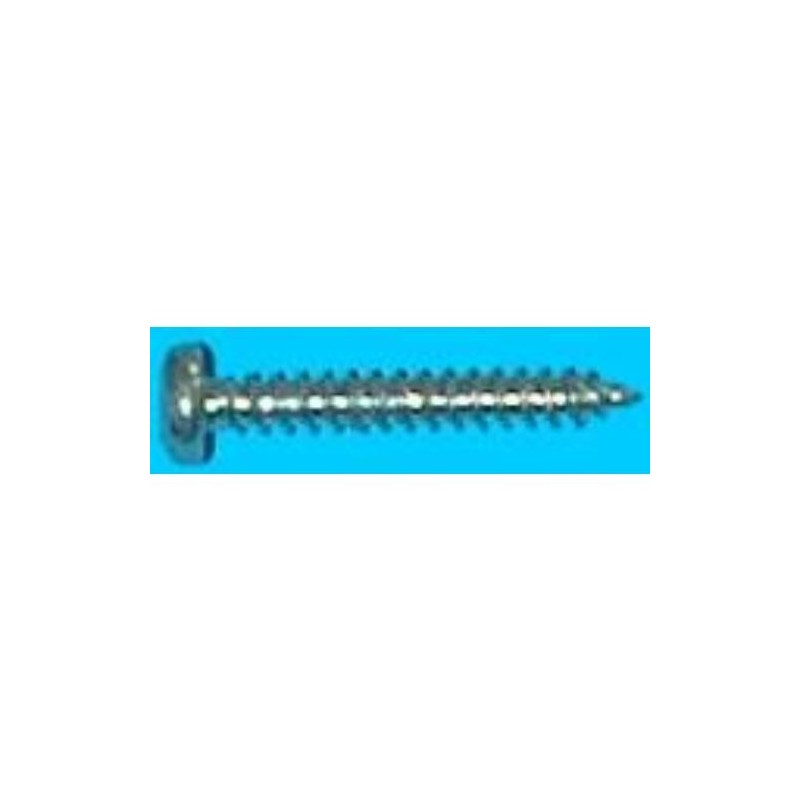 TORNILLO ROSCA CHAPA CABEZA ALOMADA 4,80X19 ZN BL.