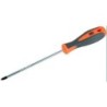 DESTORNILLADOR POZIDRIV PZ1X100 170431
