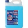 LAVAPARABRISAS USO DIRECTO 5 L. 14126