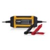 CARGADOR DE BATERIA INTELIGENTE 6/12 V. VICBI612