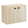 ARMARIO PINO 2 PUERTAS 3 BALDAS DINAMIC DM2HOR.99