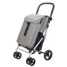 CARRO DE COMPRA CLASICC FAMILY ICE LETT470-CI 64L