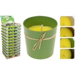 VELA CITRONELA CON CUBO ECO 288000080