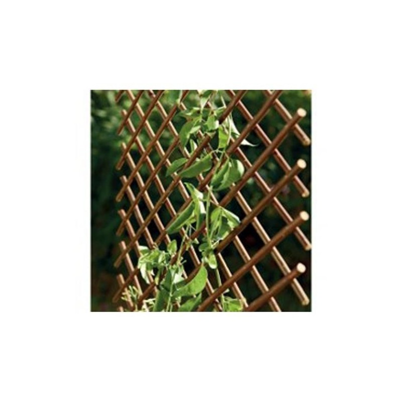 CELOSIA EXTENSIBLE DE MIMBRE 1X2 M 250017