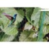 MALLA ANTIPAJAROS 2X5 M. 203001