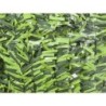 SETO HOJA ANCHA BICOLOR 43 VAR. 1,5X3