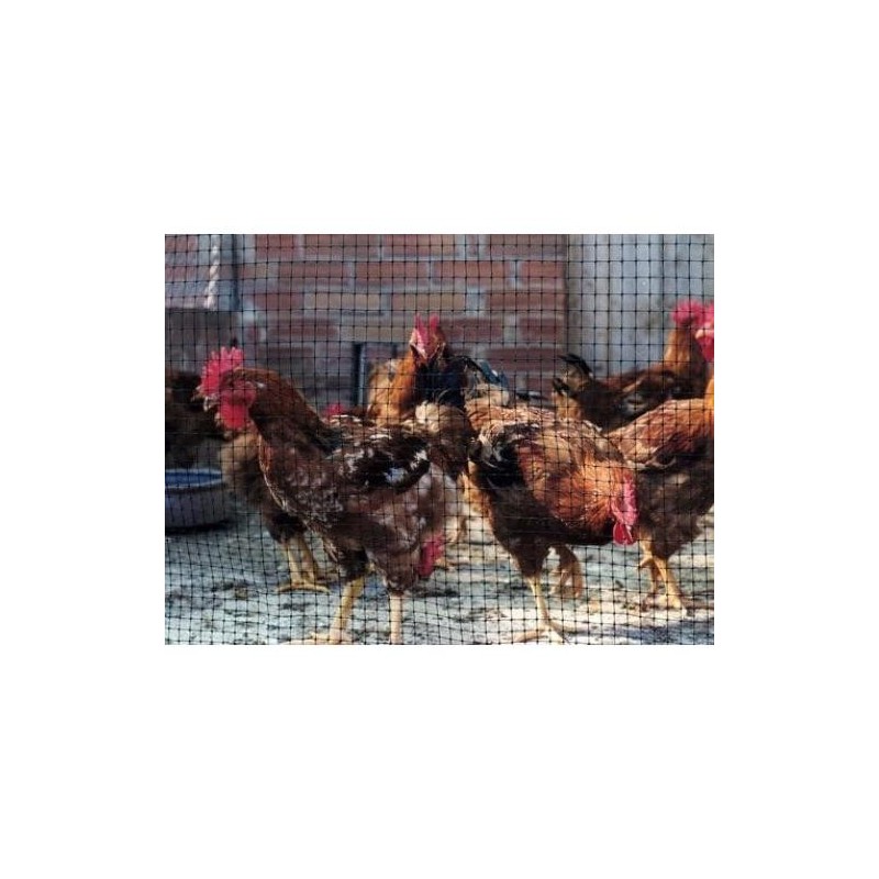 MALLA PROTECCION AVES 16X16 MM 1X10 M NEGRA 203032