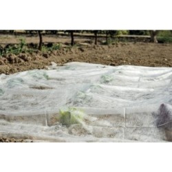 VELO DE CRECIMIENTO 2X5 M BLANCO - 17 G/M2 213133