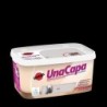 PINTURA TITAN 1 CAPA GRIS 4L. 5699290