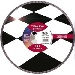 DISCO DIAMANTE TITAN EVO 300MM EJE 25MM WTEVO300
