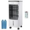 CLIMATIZADOR TATASU C/MANDO Y TEMP 220-240V 80W