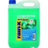 LAVAPARABRISAS ELIMINADOR INSECTOS Y ANTILLUVIA 5L